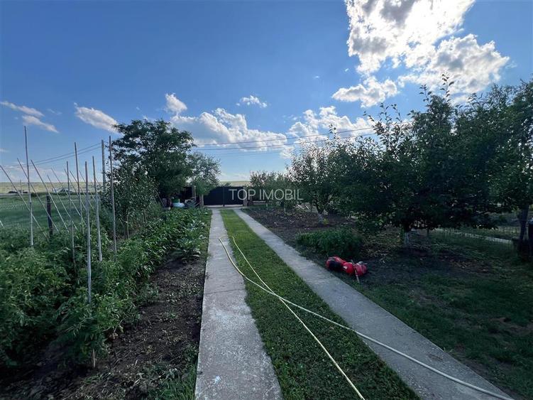 Casa 4 camere - Letcani - Popasul Mariei - 9