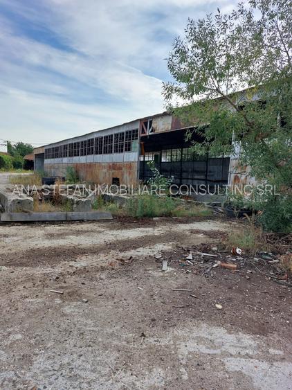 Curtea De Arges l Teren Intravilan+Cladire Birou l 20000MP l Post Trafo 350 KW l - 5