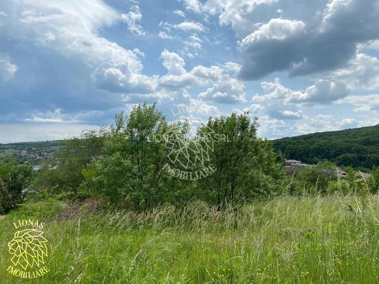 Teren intravilan 2800 mp cu utilitati-ideal case-Valea Ghinzii - 8