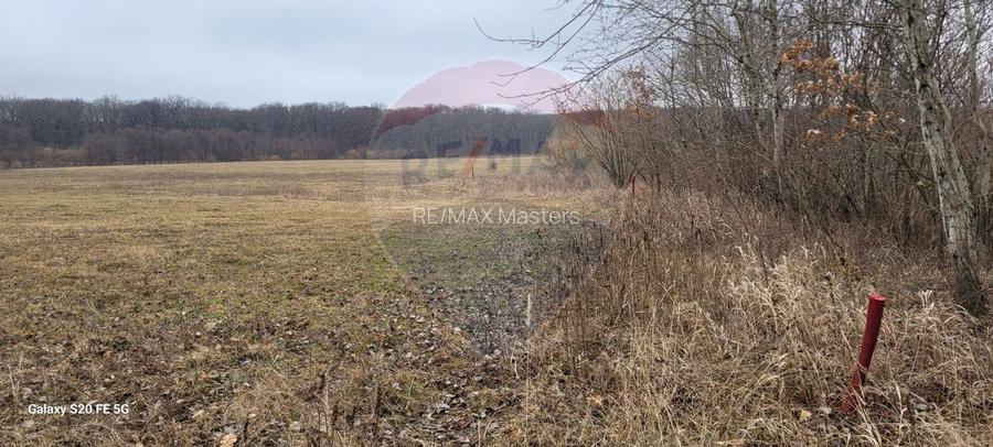 Teren 2925 mp comuna Mitocu Dragomirnei - 21