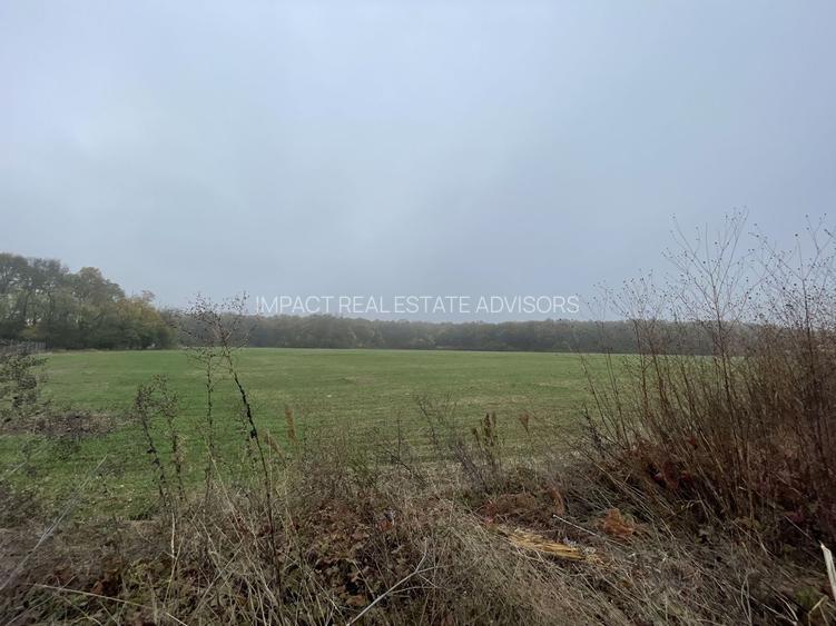 9400 mp | Ideal pentru investitie | Tunari | Deschidere la padure - 4