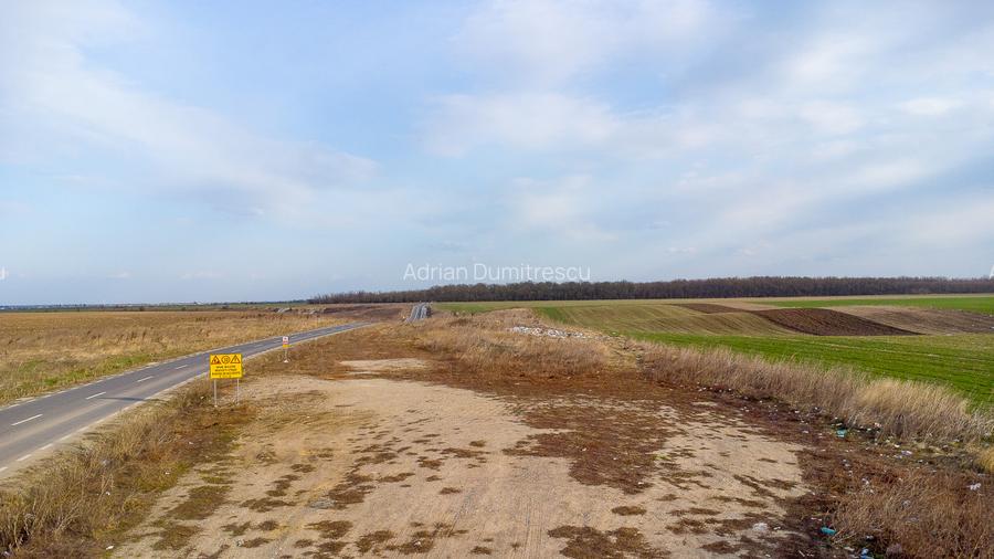 Teren intravilan la asfalt si statie autobuz Ilfov Cernica Posta - 13