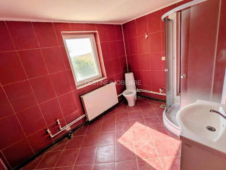 Ocazie - Casa P+M 196 mpt 5 camere 2 bai 1200 mp teren, libera Horlesti (Rediu) - 16