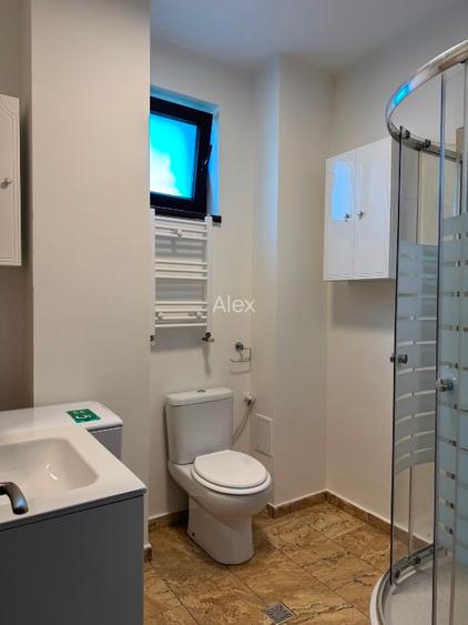 Apartament 2 camere Berceni  Drumul Gazarului - 13