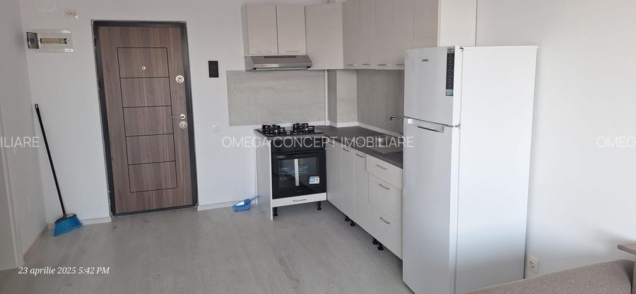 Popesti Leordeni - Biruintei inchiriere garsoniera dubla - 10