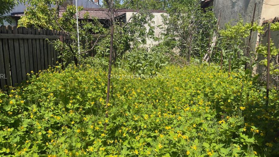 Casa 5 camere, caramida, garaj, pivnita — Cantacuzino, Ploiesti - 13