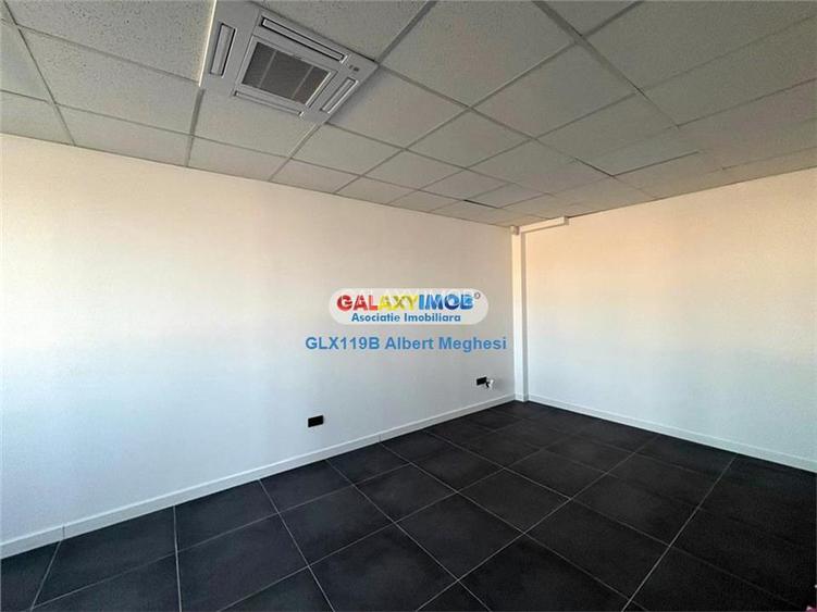 Inchiriere hala depozitare Parc Industrial TBM Rudeni - 11