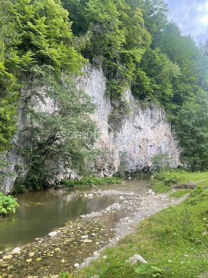 Teren Investiție Turistică Dâmbovicioara Baranga | 4.500 mp - 18