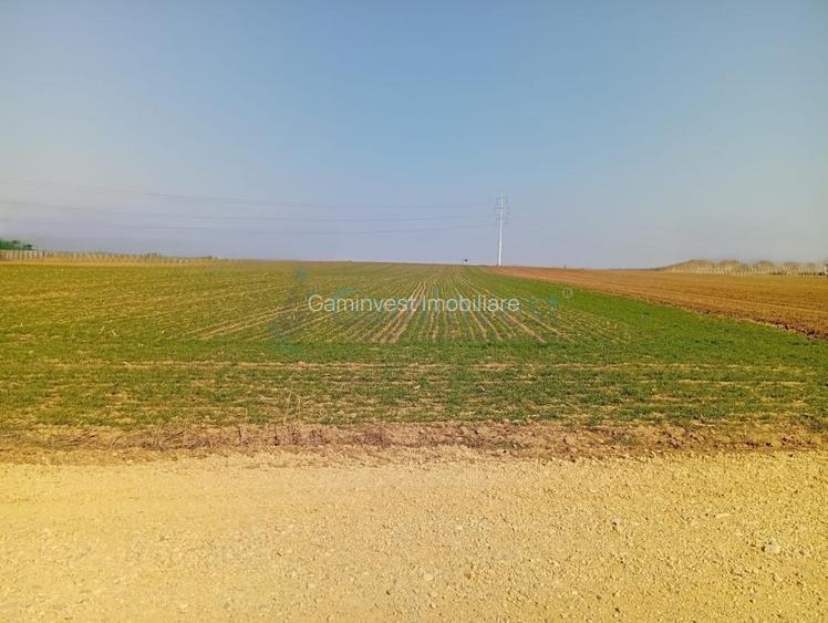 Teren de vanzare in Biharia, cu o suprafata de 20000 mp intravilan - 3