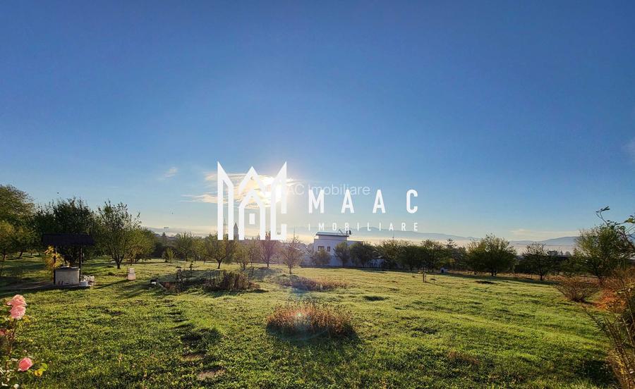 Teren | 1156 MP | Intravilan | Turnișor - 2