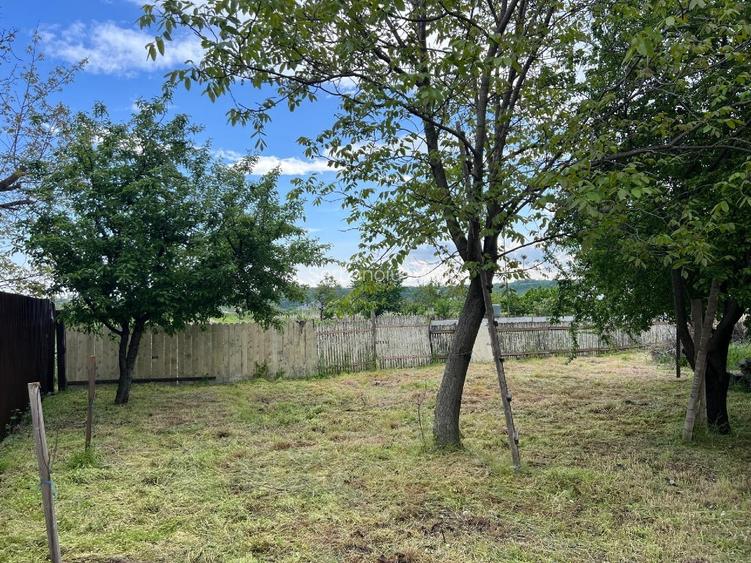 Vanzare Teren intravilan 4971 mp și Casă renovată complet exterior în 2024 - 7