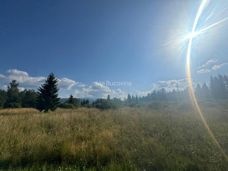   12700 mp investitie rezidentiala- turistica- medicala Tinovul Mic/Șaru Dornei  - 12