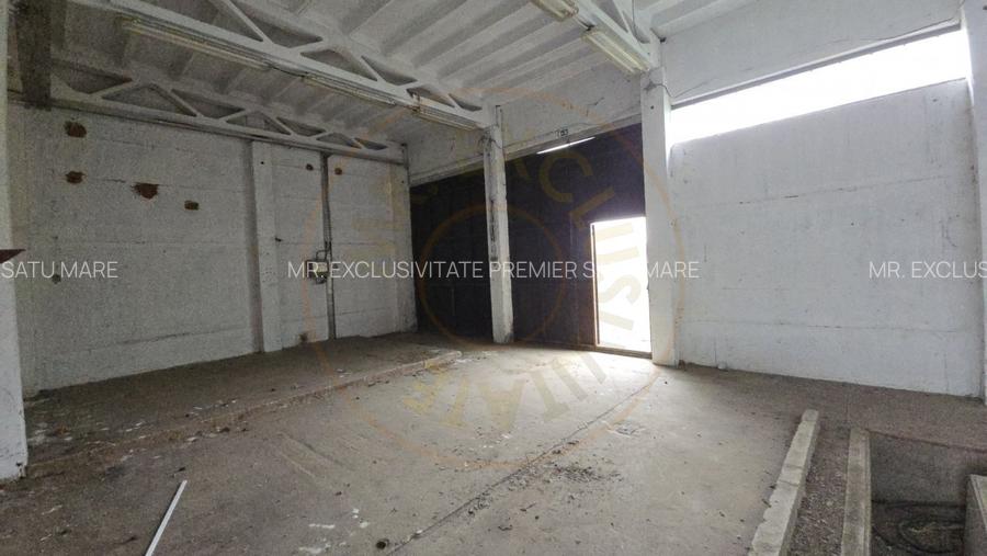 De Vanzare Hala/Depozit - 8