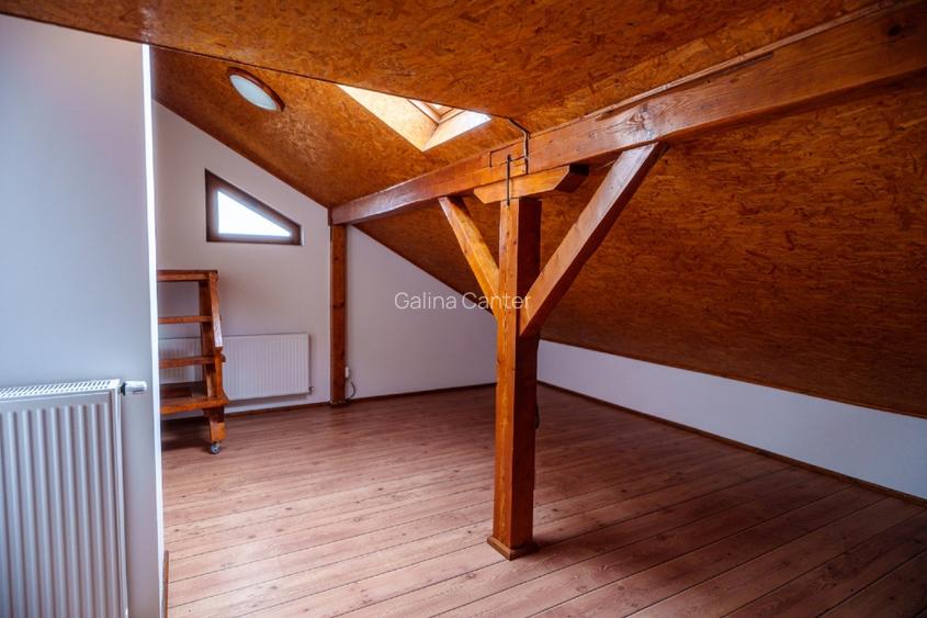 P.F. Vând vila multifuncțională, Jucu de Mijloc - 8