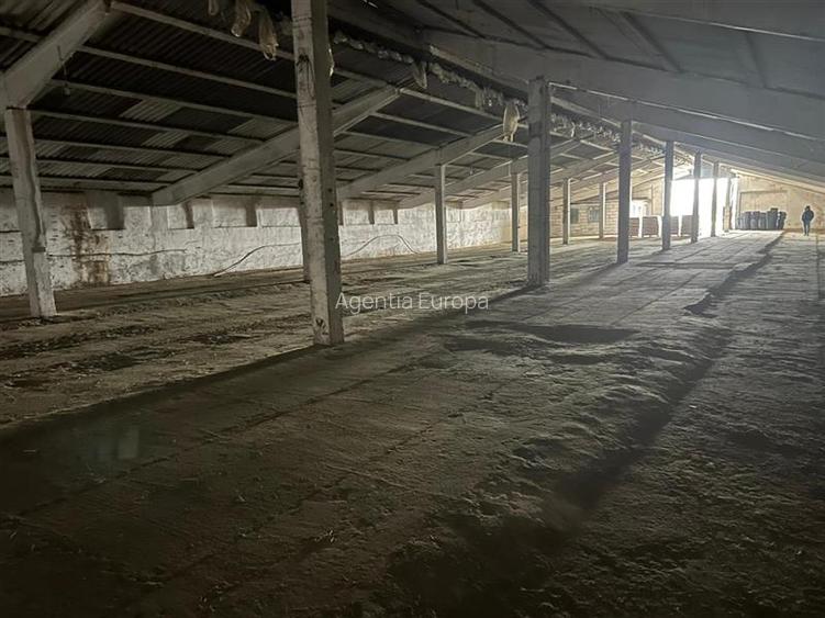 Hale de inchiriat localitatea M. Kogalniceanu Tulcea - 2