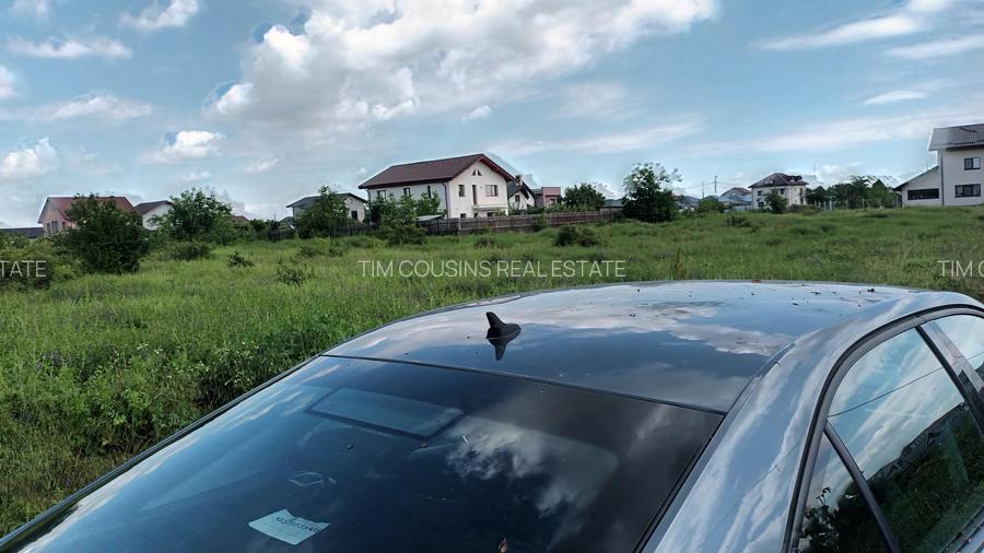 Domnesti, teren intravilan 828/24, strada Doinei, bun duplex, utilitati, 53000 e - 4