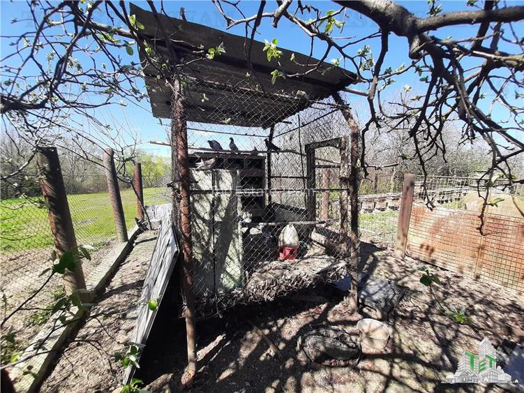 Teren 4000 mp + casa demolabila in Bragadiru/Varteju (Magurele) - 6