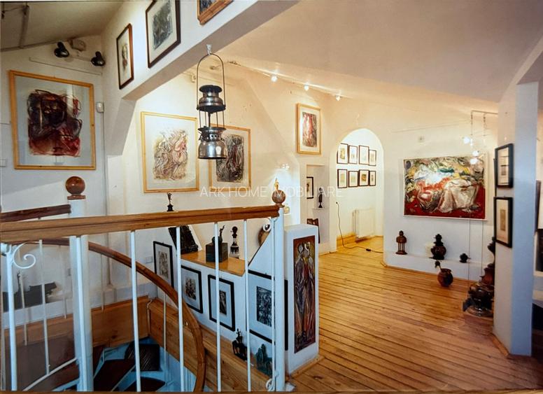 Spatiu Comercial Stradal Dacia - 3