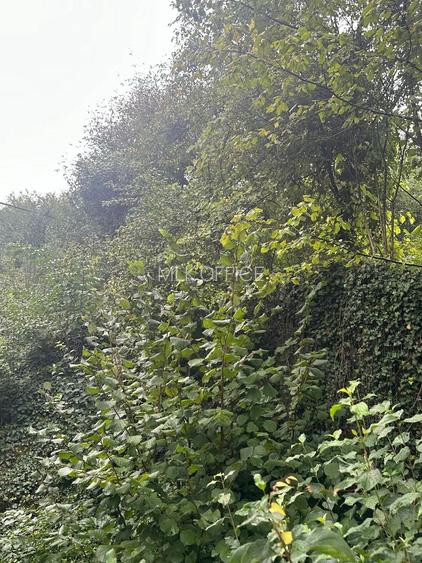 De vanzare teren 2100 mp Dej central - 6