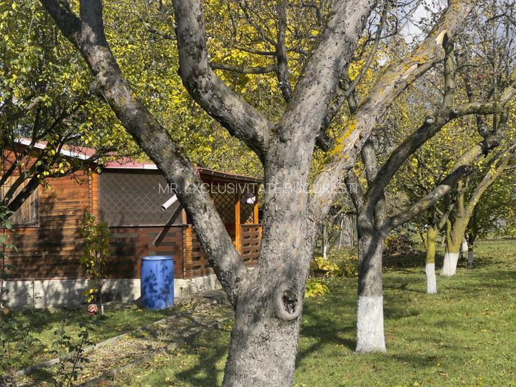 Casute Breaza, teren 1140 mp - 3