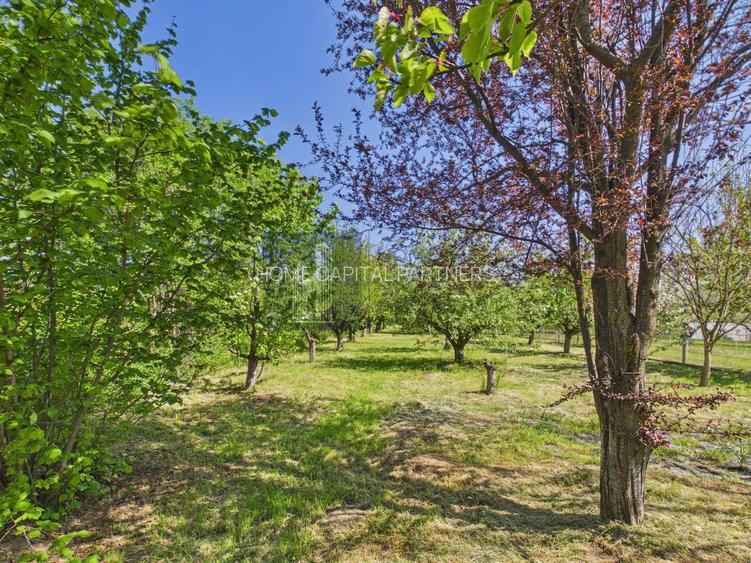 Casă de locuit/vacanță cu livadă, la marginea pădurii — Lipia - 4