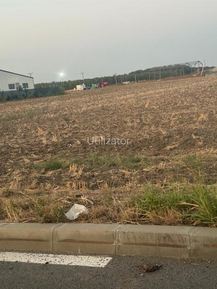 Teren de vânzare Branesti - 2