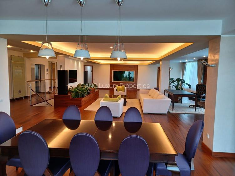 Penthouse In Prima Linie Pe Nordului | 400 mp Utili + 400 mp Terasa - 2