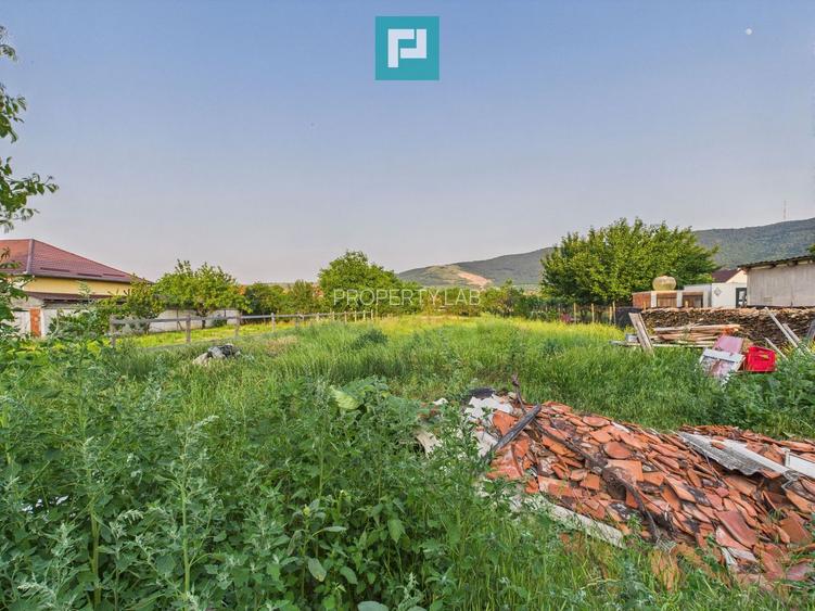Casă cu 3 camere în Galșa, Arad, teren 1197 mp - 16