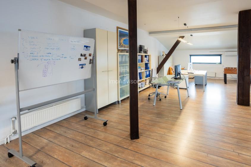 DOMENII-SPATII GENEROASE-DISPONIBIL IMEDIAT - 19