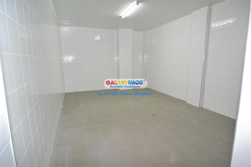 Vanzare spatiu productie alimentara P-ta Delfinului - 9