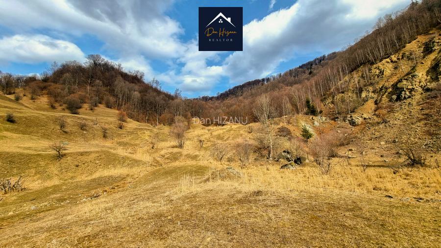 SIRIU - Oportunitate de investitie | Teren cu PUZ | Intre Lac si Padure - 16