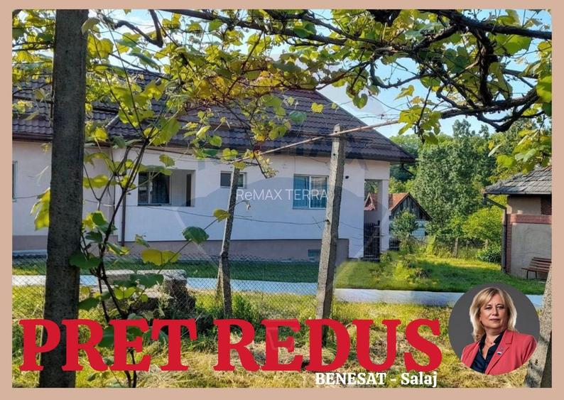 DE VANZARE- GOSPODARIE cu 95 arii teren - 2