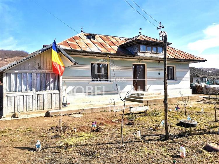 Casa, teren si padure, in sat Siscani, jud Vaslui - 2