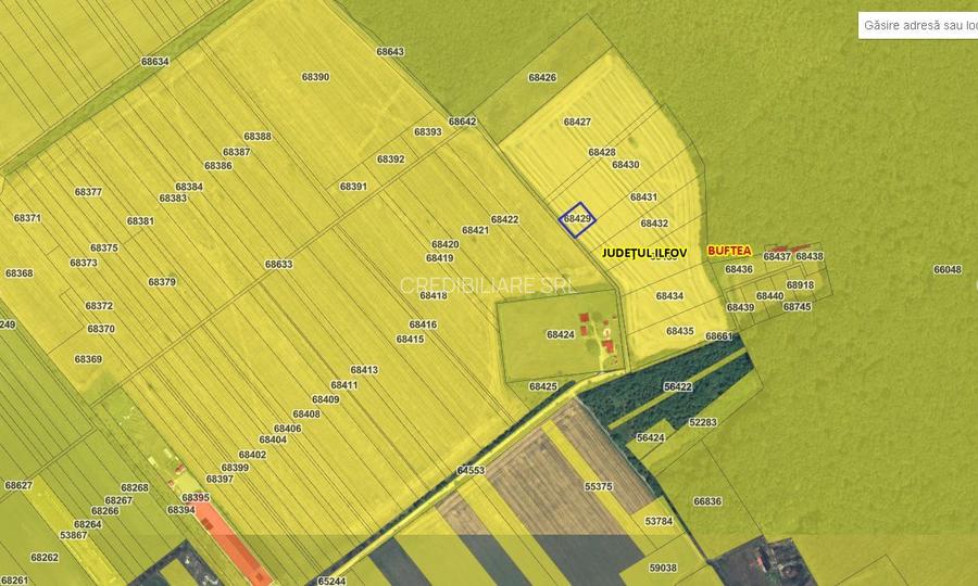 Vând teren construibil 1000 mp lângă pădure Buftea - 5