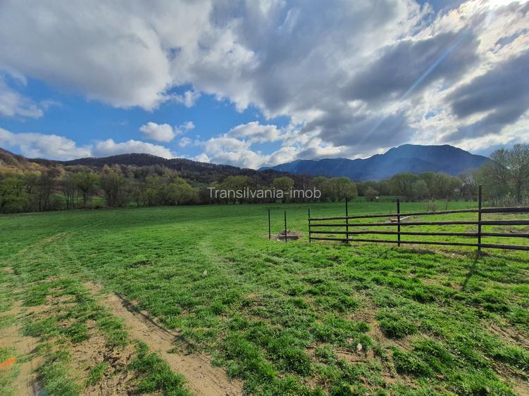 Teren Rasnov – Predeal zona de pensiuni - 3