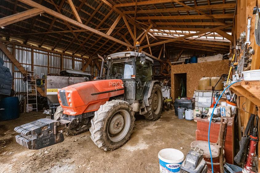 Vie de 115 Hectare în satul Dud, județul Arad - 11