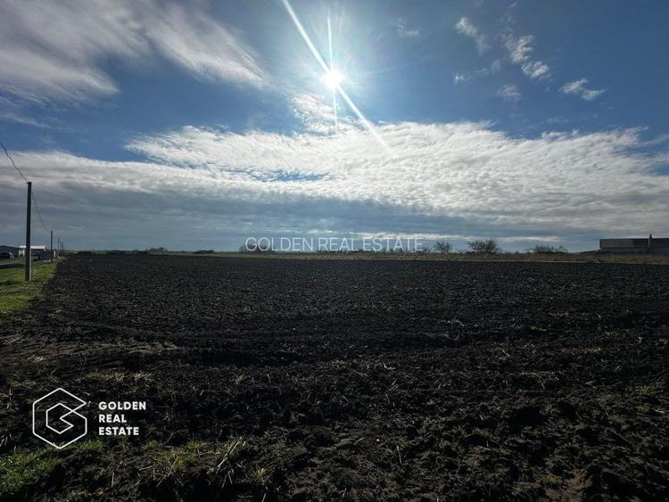 Oportunitate deosebita! Teren 4000 mp, intravilan, Sanpaul - 2