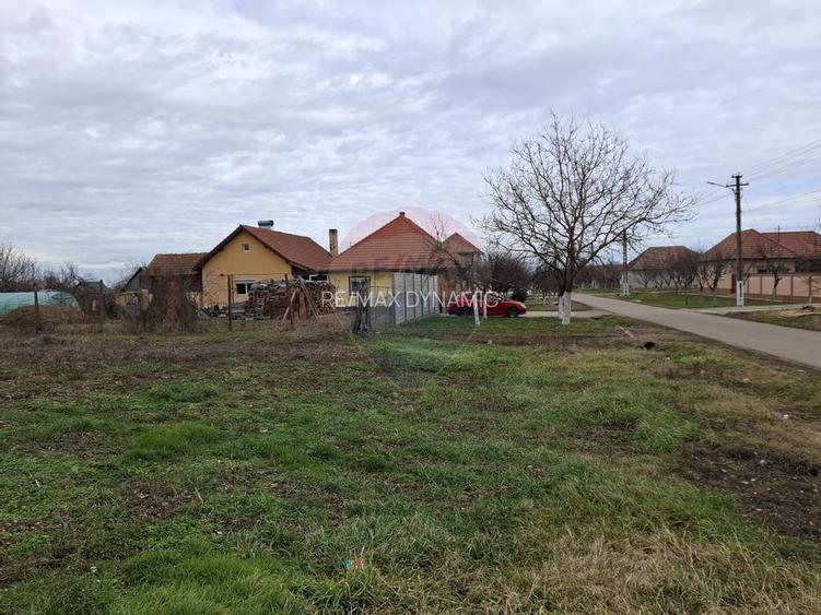 Teren intravilan 1,241mp Frumușeni, Arad - 3
