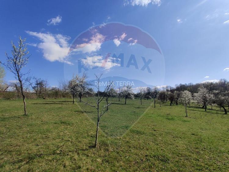 Teren intravilan pentru casă Cărbunari - 4