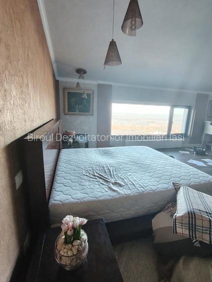 Casa 300 mp utili, 800 mp teren, Bucium - 10