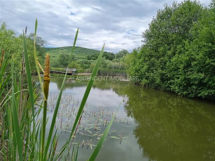 Domeniu de 30.000 mp + lac propriu +Vila protocol + Special - 9