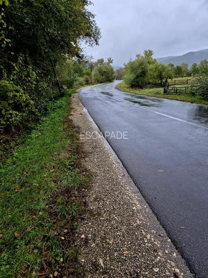 Comision 0%, teren extravilan 12497 mp Sinca Noua - 28