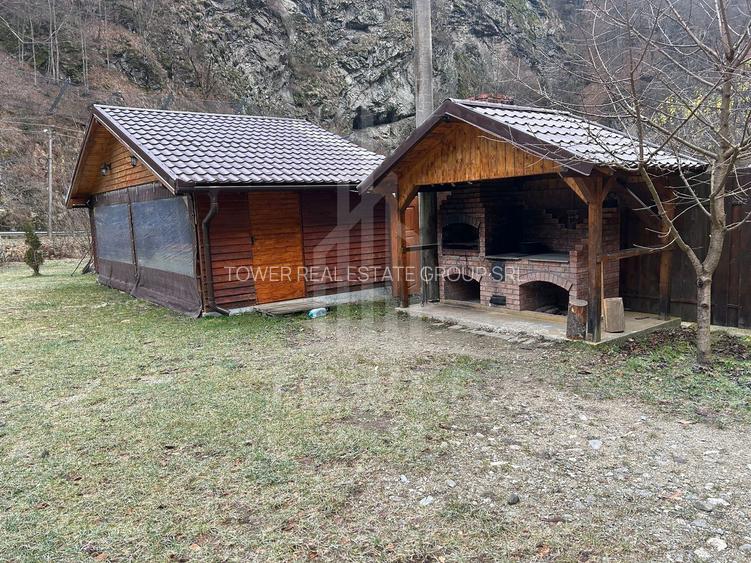 Casă de vacanță în Râu Sadului - 15