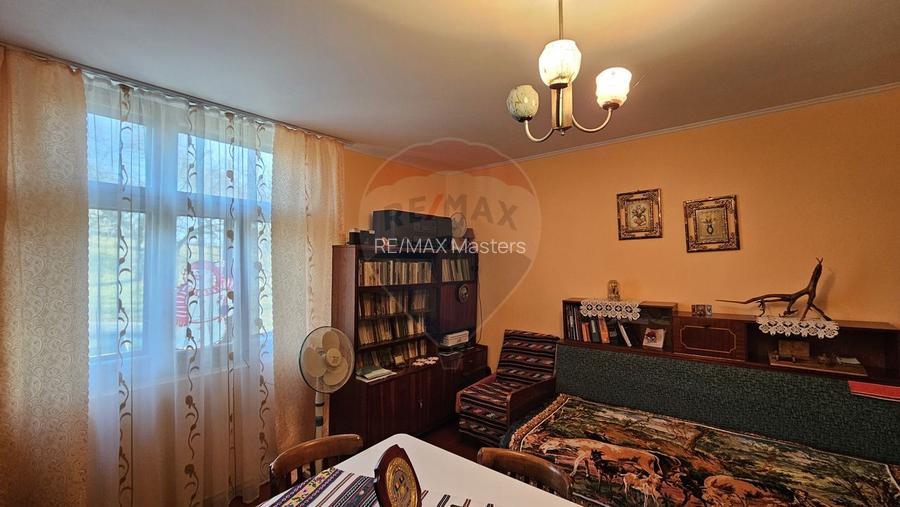 Casă / Vilă cu 3 camere de vânzare-Cacica-Suceava - 56