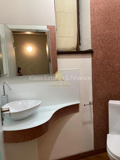 Apartament/Spatiu birou 5 camere Victoriei vis-a-vis Radssion Blue - 8