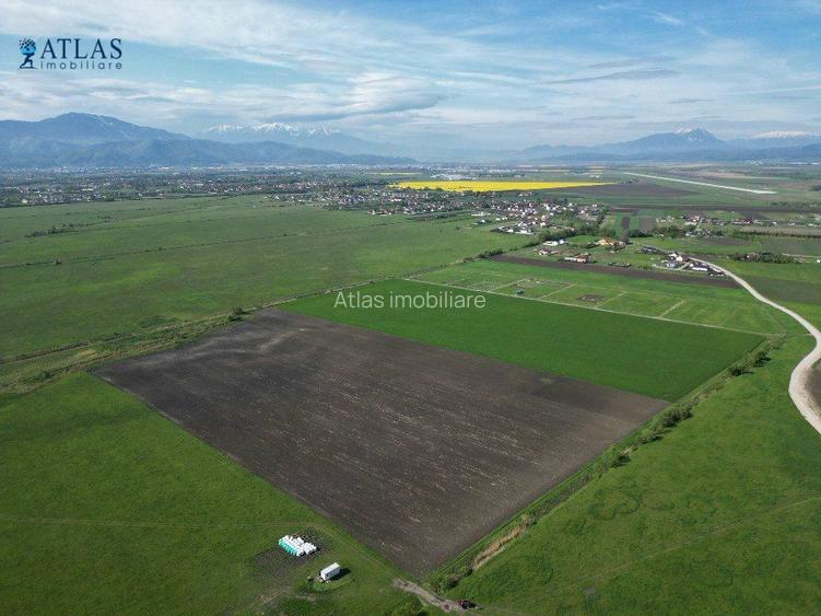 Investitie! 43.100 mp intravilan, 3 loturi, accesibil din str. Barsei, Stupini - 4