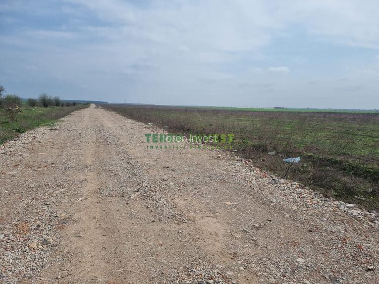 TEREN INDUSTRIAL 20.000 MP - TÂNGANU - A2 PUZ APROBAT - 2
