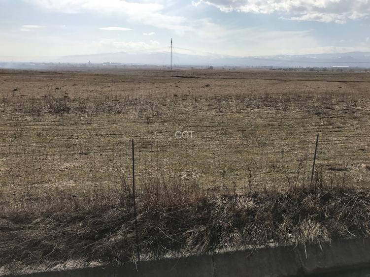 Teren de vanzare 20.000 mp pretabil benzinarie centura, direct de la proprietar! - 6