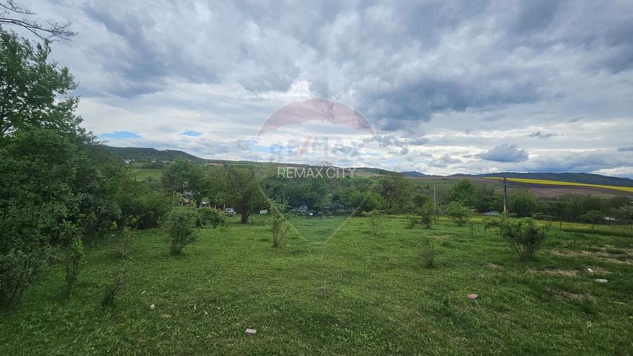 Teren 5,350mp Dobreni / Strada Manastirea Horaita - 11