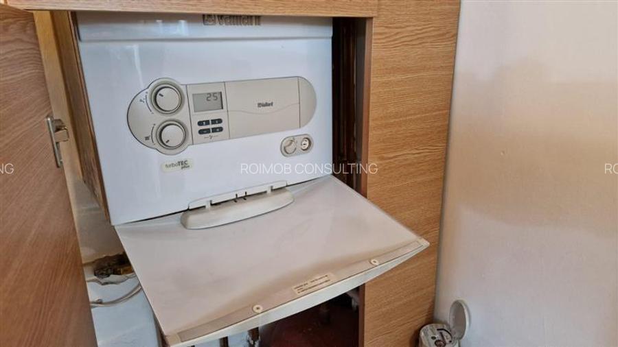 Vila Mosilor - Ferdinand - Dimitrov - 11